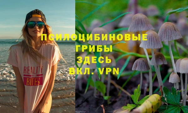 МДПВ Краснослободск