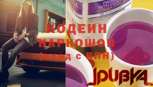 МДПВ Краснослободск
