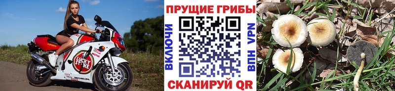 ОМГ ОМГ ONION  Мосальск  Галлюциногенные грибы GOLDEN TEACHER 